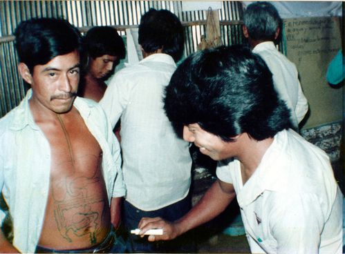 Cours de santé. Les organes sont grossièrement dessinés