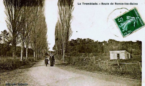 Le pont des brandes et ses peupliers