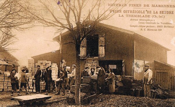 Etablissements de la famille Fraigneau où ont travaillé