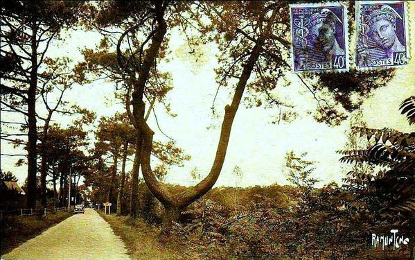 Entrées de Ronce (19)