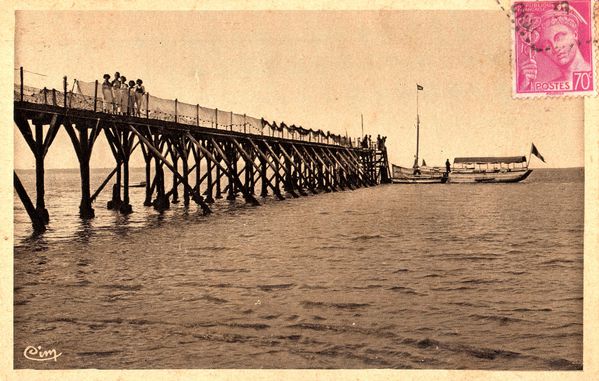 appontement ronce (49)