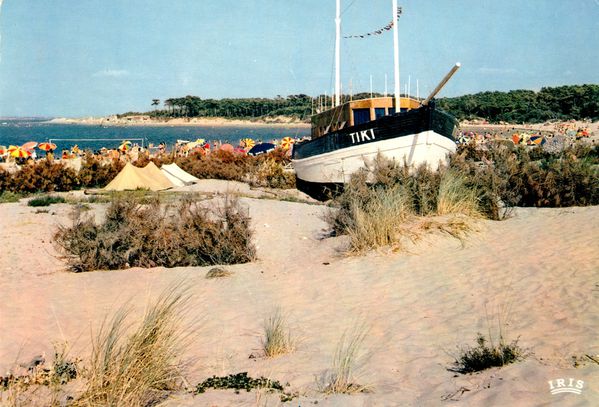 galon d'or,embellie,pointe (67)