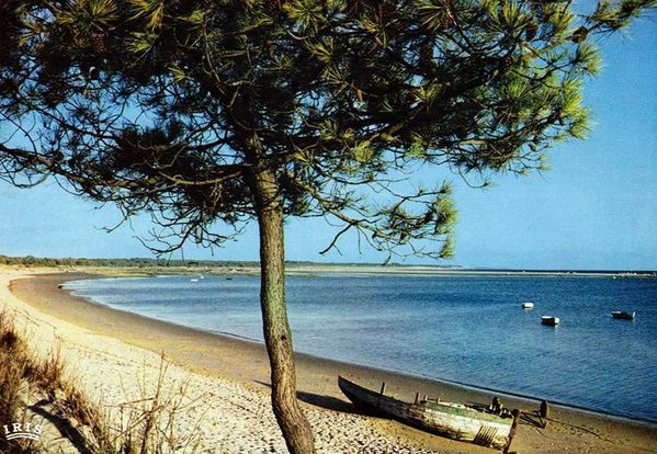 La baie de Bonne Anse