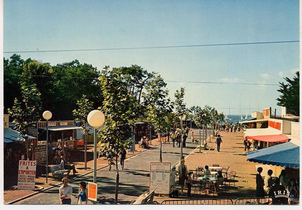 La place années 80.L'allée de platanes nouvellement repla